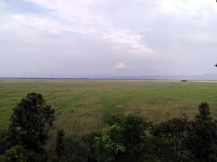 Keibul Lamjao National Park
